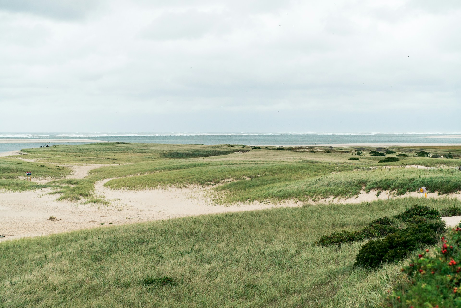 Cape Cod Brewster