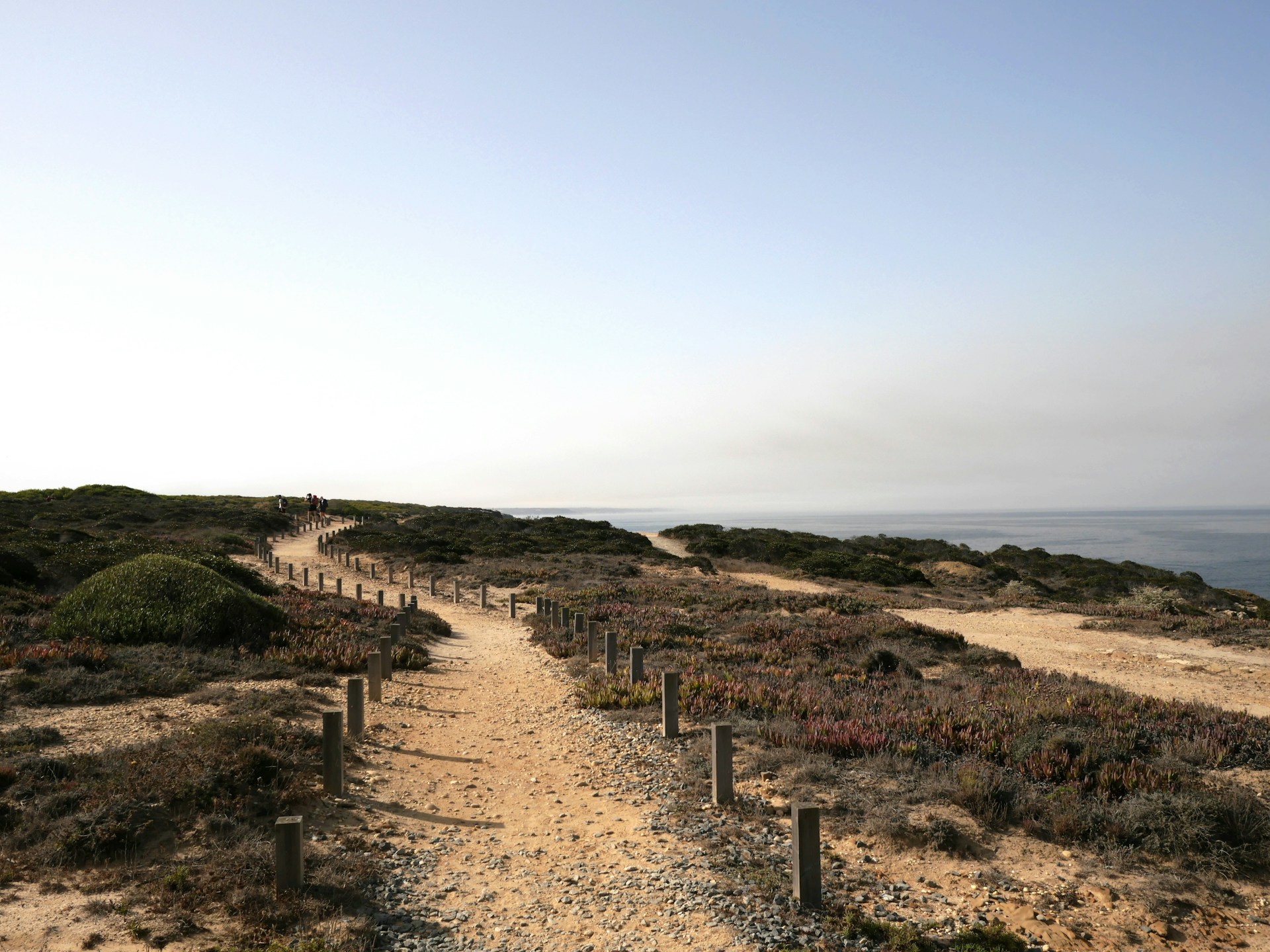 Cape Cod Hiking