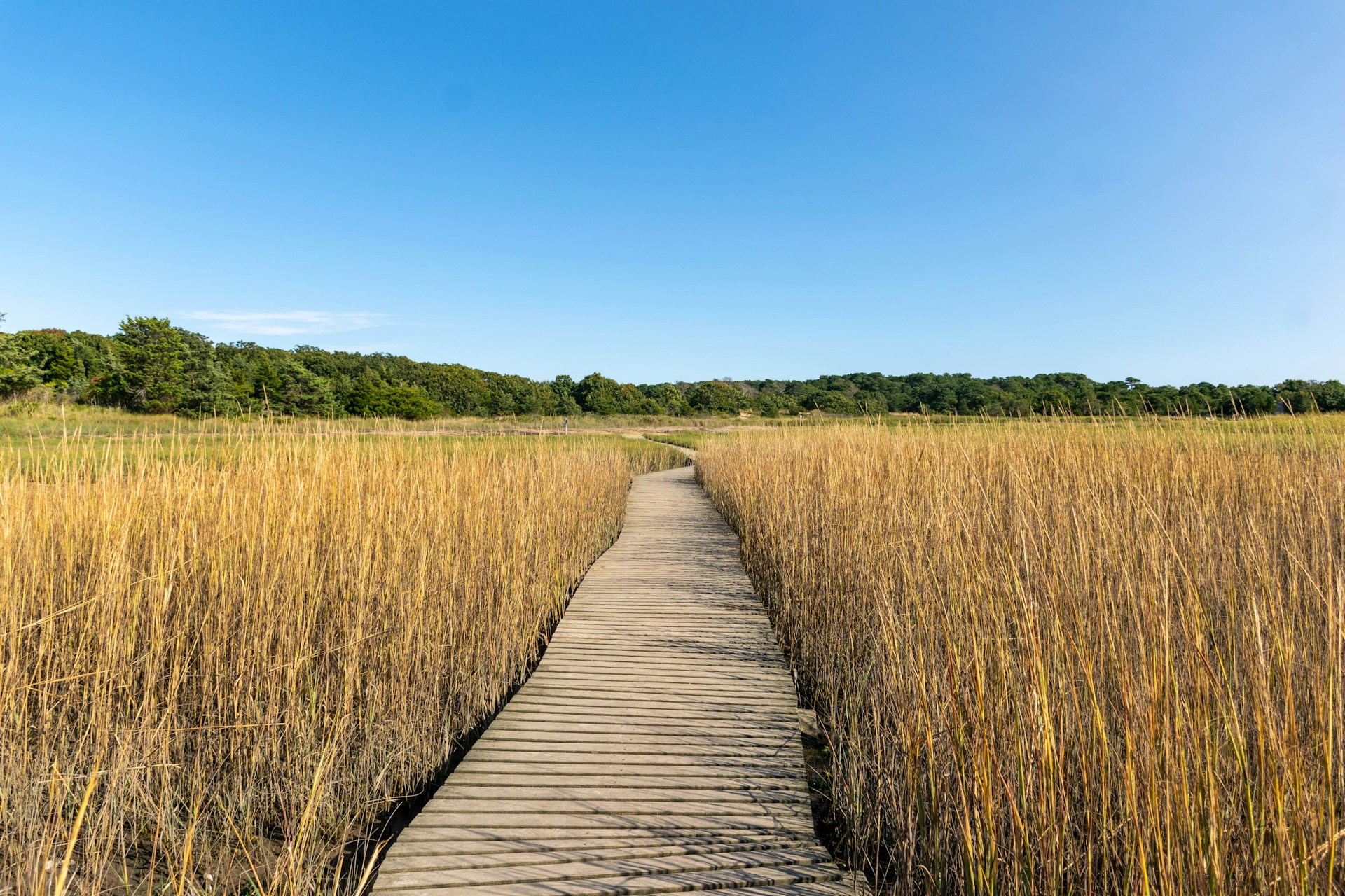 Cape Cod Hiking