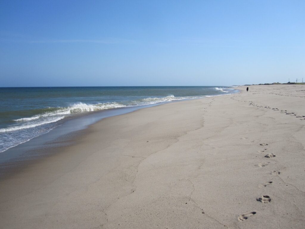 Nauset Beach