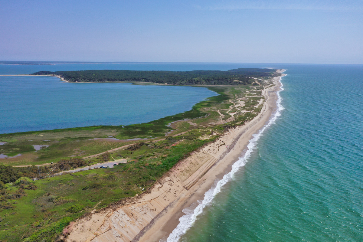 A Wellfleet Beach